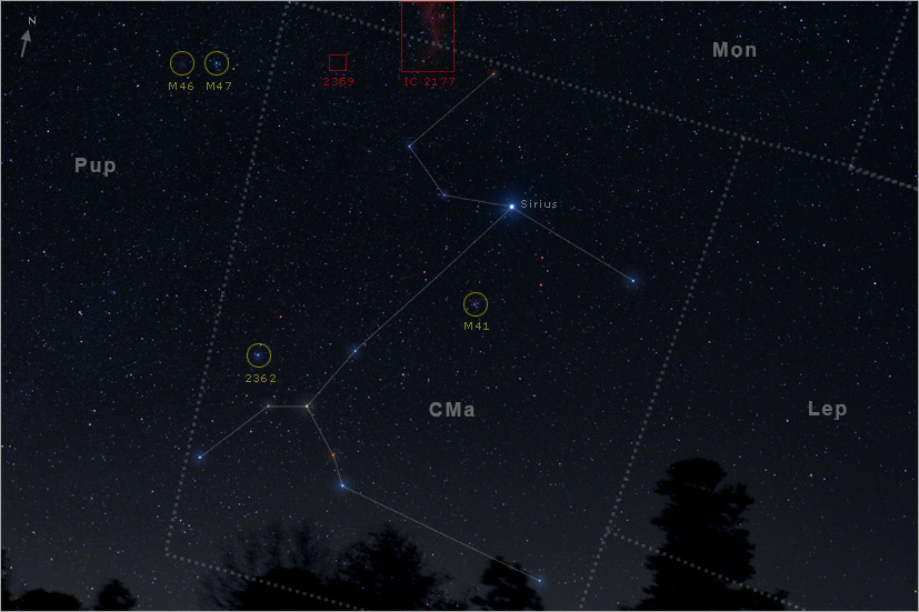 Canis Major