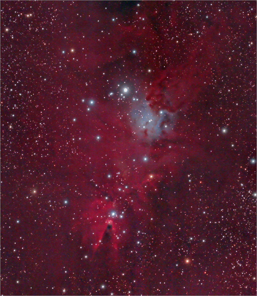 The Cone Nebula Region