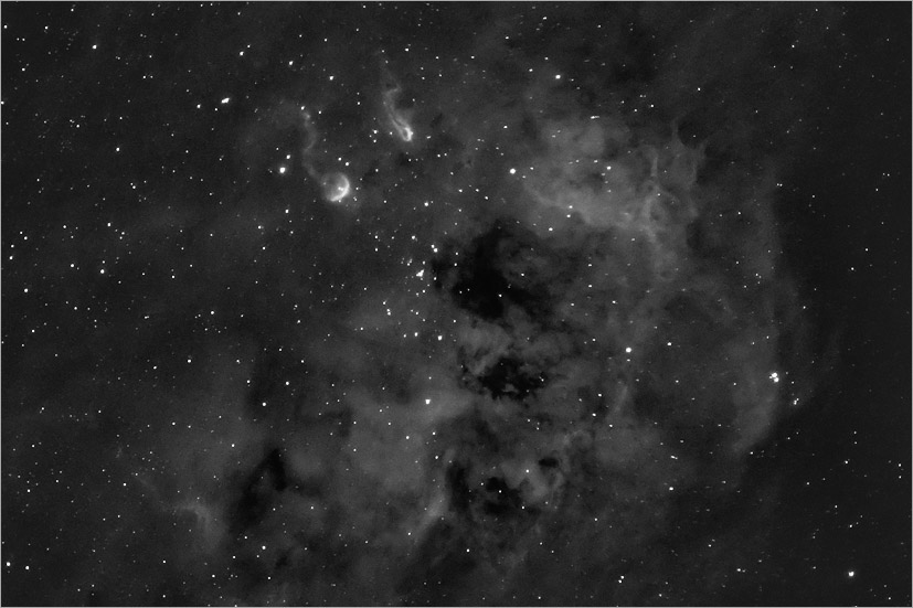 IC 410 and The Tadpoles