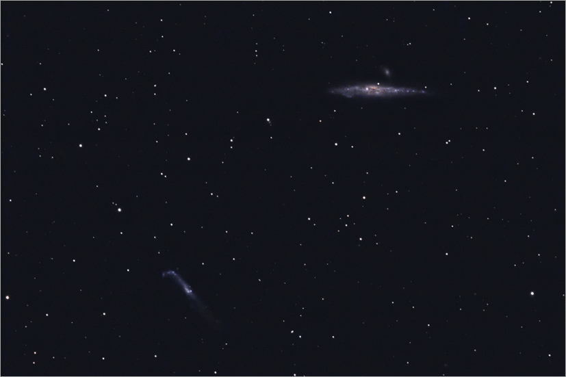 NGC 4631 and NGC 4656, Whale and Golfclub