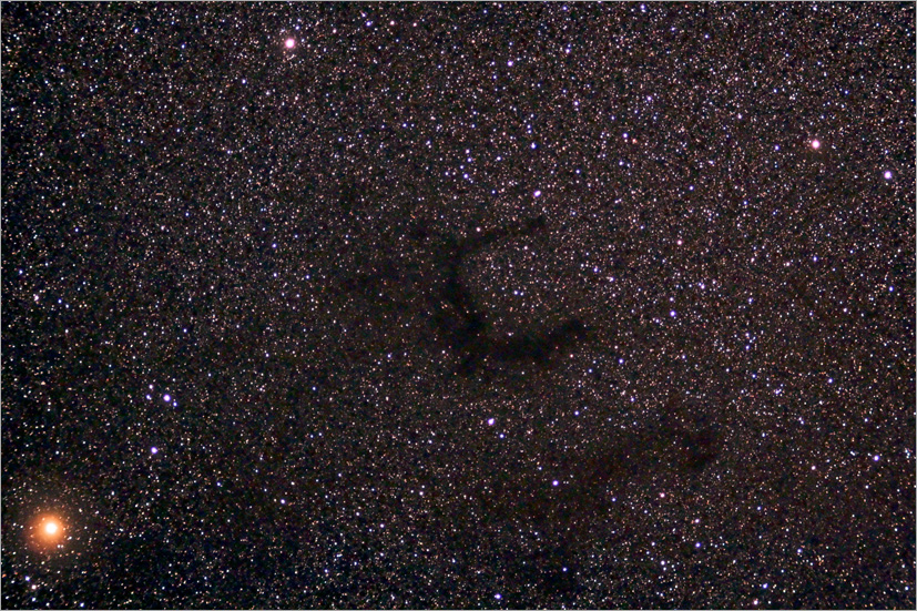 B142, B142 Dark Nebulae