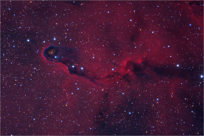 IC 1396A